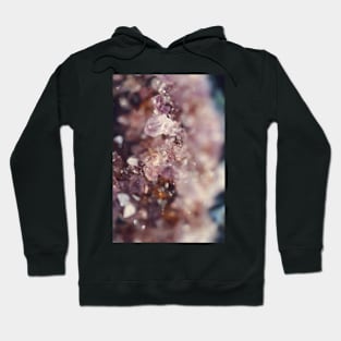 Dazzle Hoodie